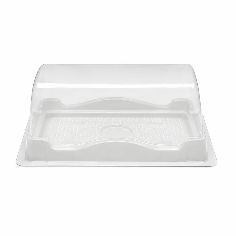 hop-nhua-cn-dai Hộp Nhựa Chữ Nhật Lớn H123 - Ảnh 1