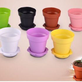 Ly Nhựa CH73 20 Cái - Giao Màu Ngẫu Nhiên