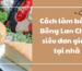 Bánh Bông Lan Chay