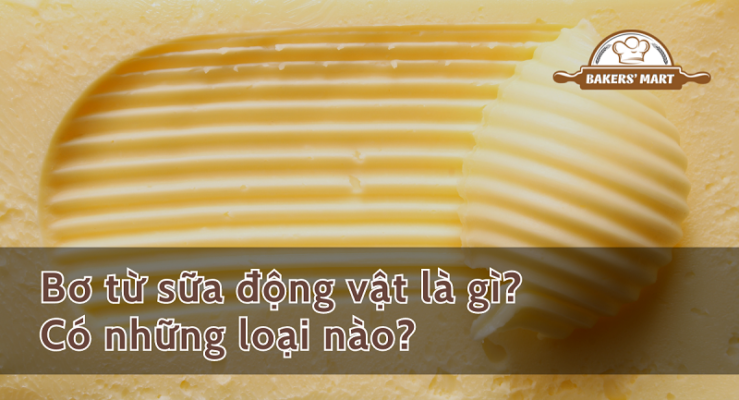 Bơ từ sữa động vật là gì