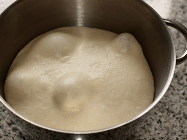 Bột cái trong làm bánh là gì ? Phân biệt Tangzhong, Poolish, Biga, Sponge